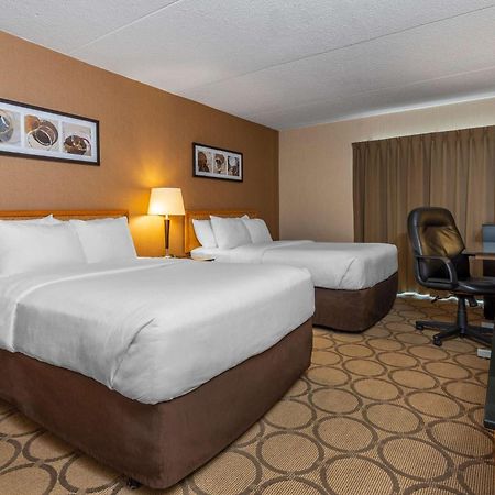 Comfort Inn Campbellton Kültér fotó
