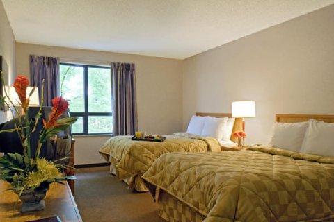 Comfort Inn Campbellton Kültér fotó
