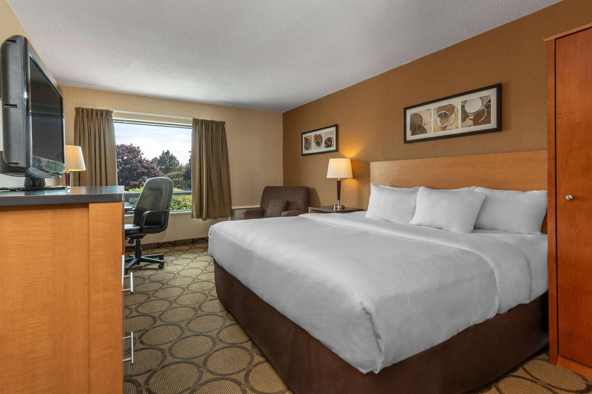 Comfort Inn Campbellton Kültér fotó